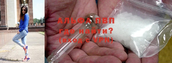 амф Беломорск